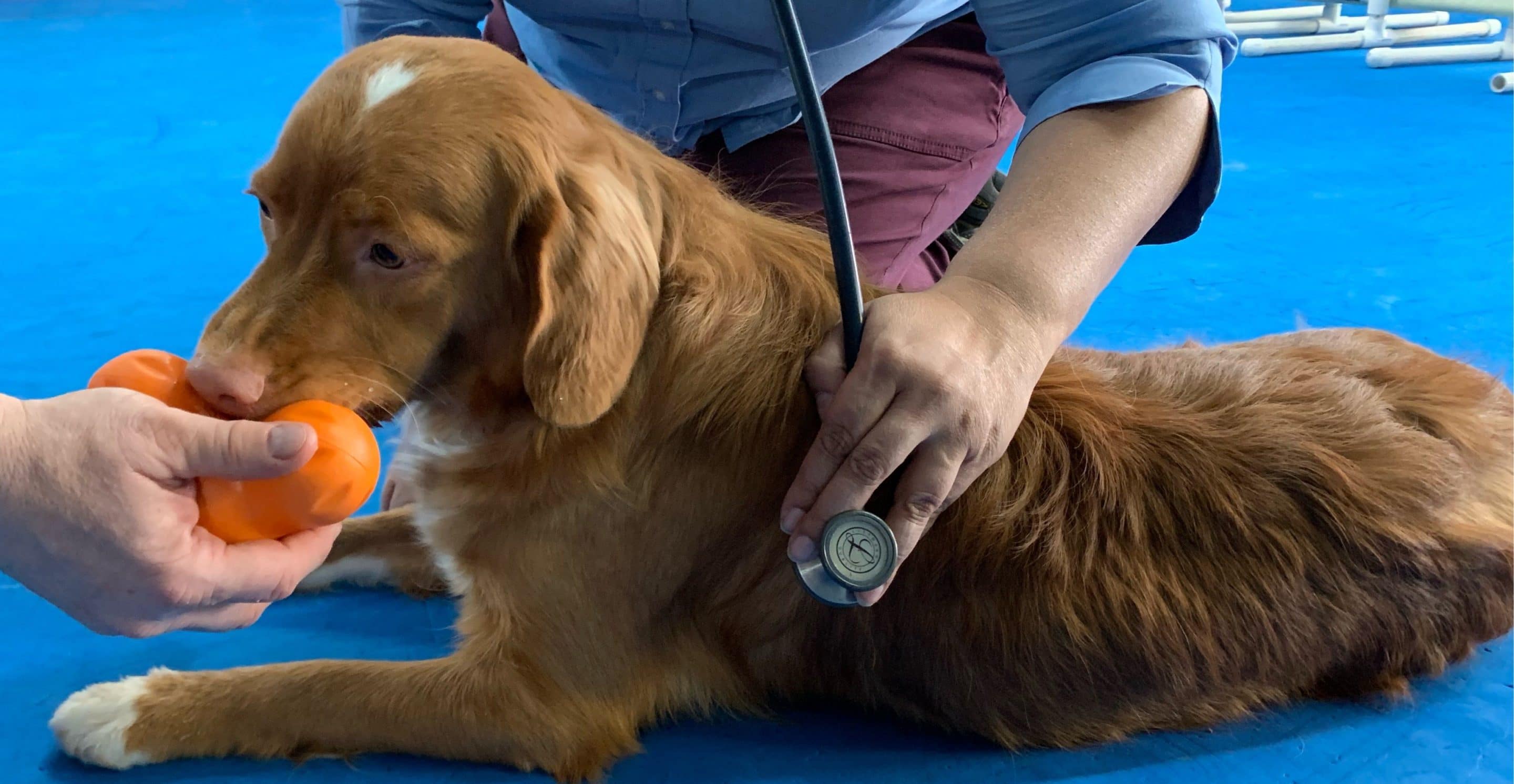 alcohol treatment portland oregon