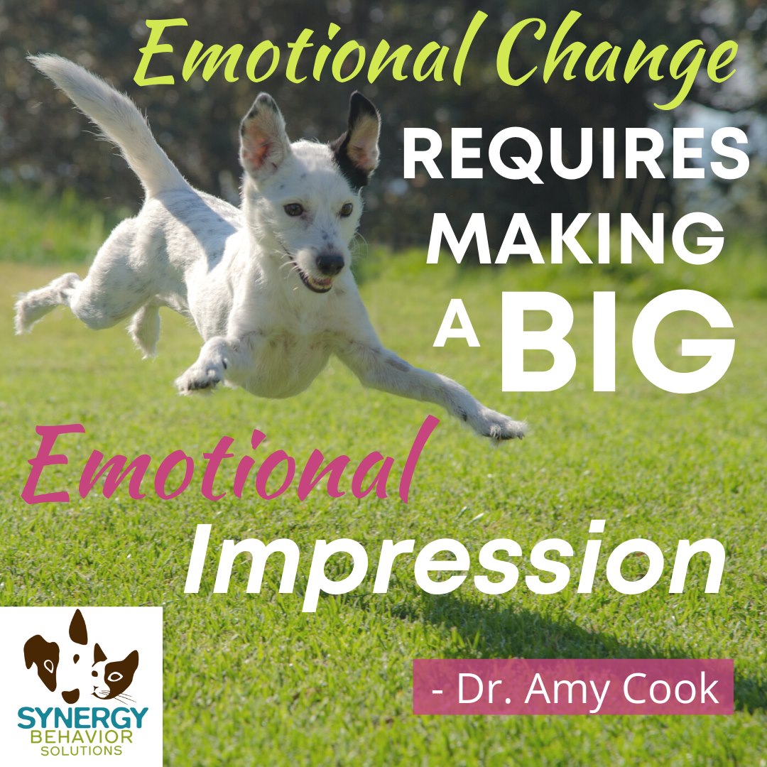 Big Emotional Change Requires a Big Emotional Experience