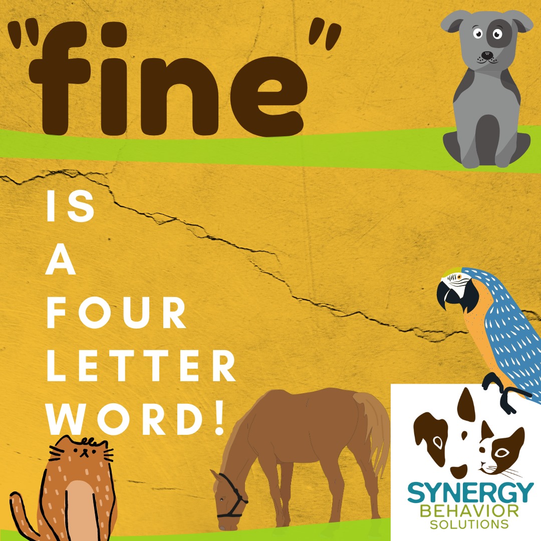 “Fine” is a Four-Letter Word: Part 2