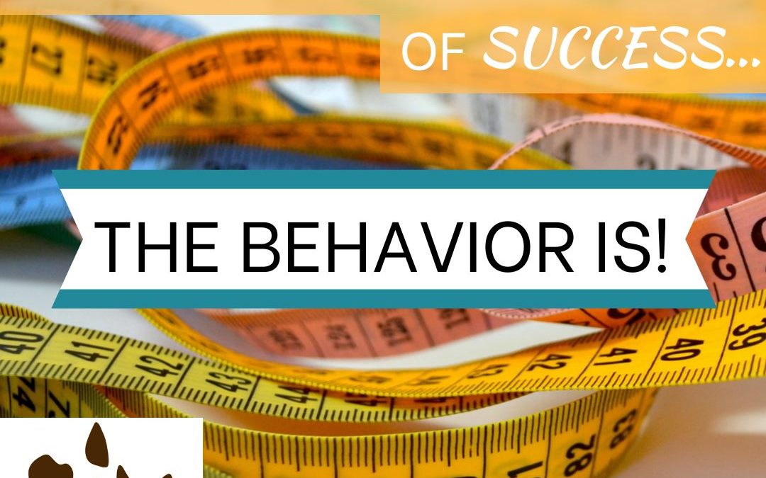Behavior is the Real Measure of Success