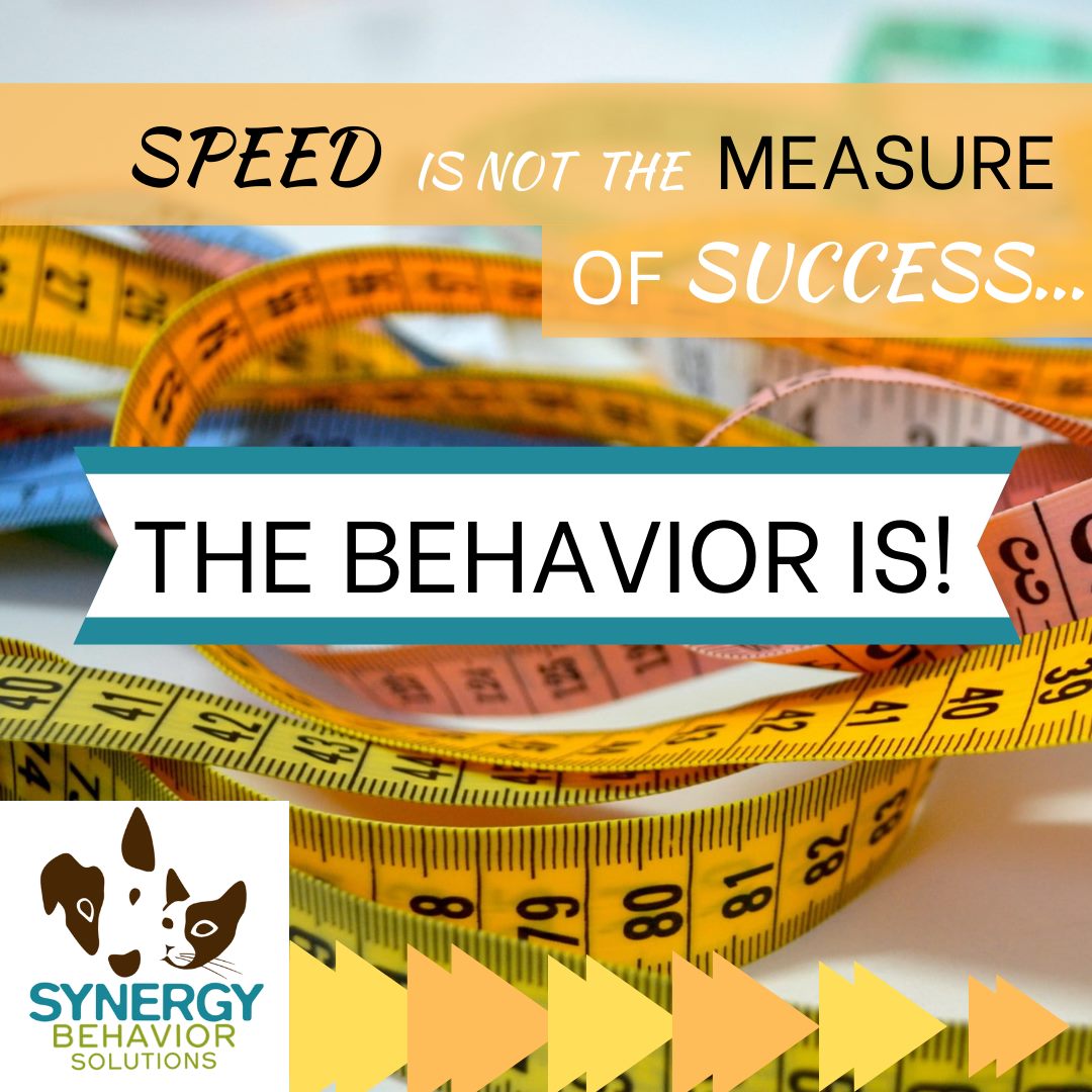 Behavior is the Real Measure of Success