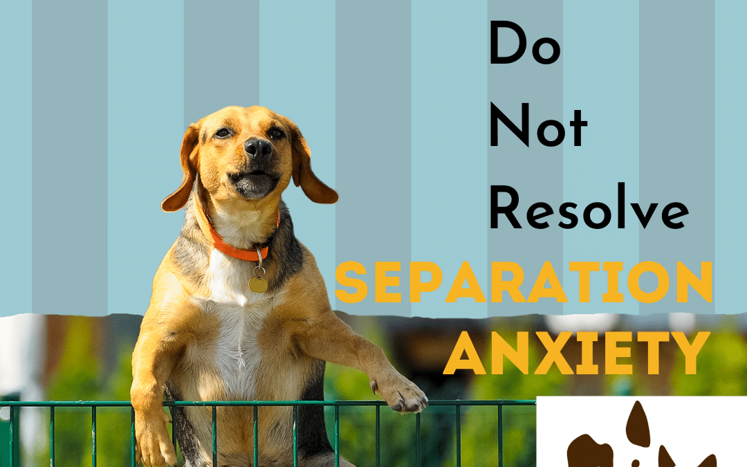 Separation Anxiety is NOT Resolved by Taller Fences and Stronger Crates