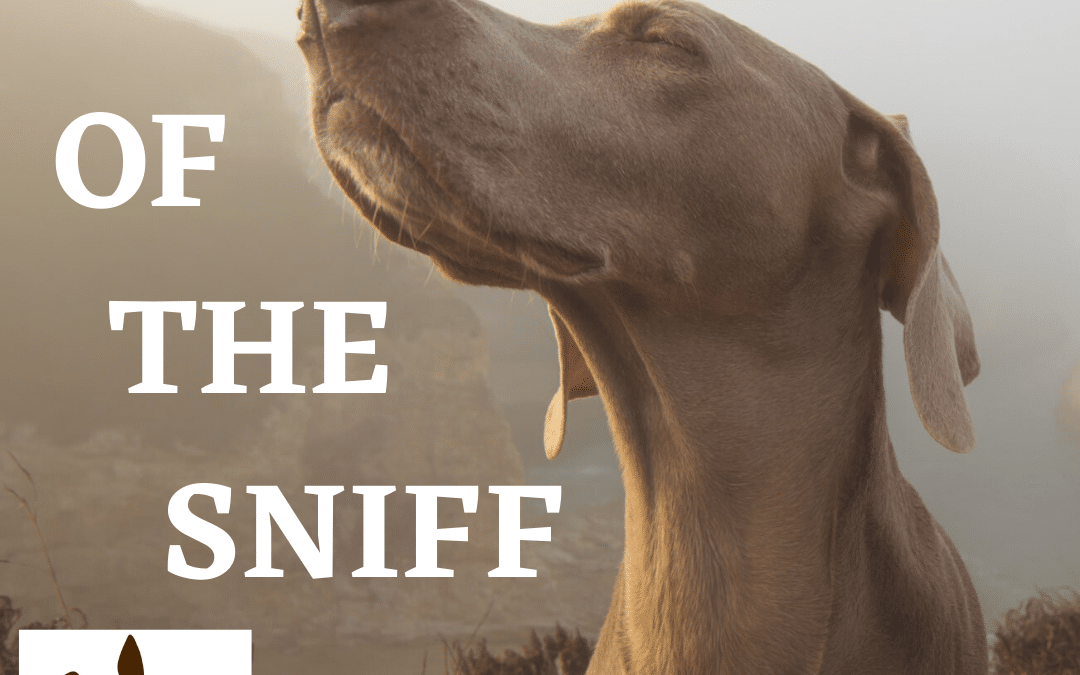 Give the Gift of Sniff!!