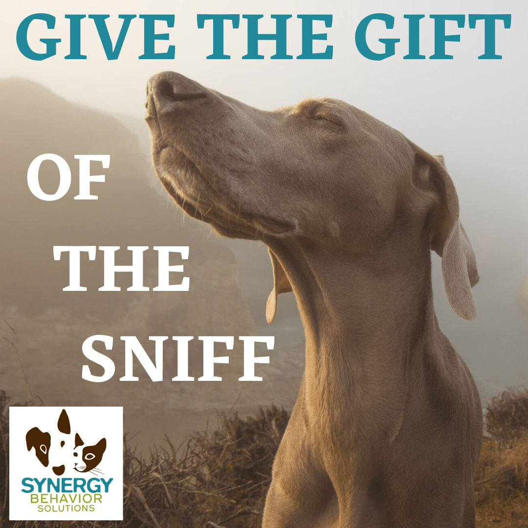 Give the Gift of Sniff!!