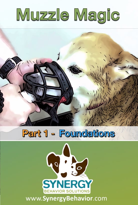 Muzzle Magic 1: Foundations