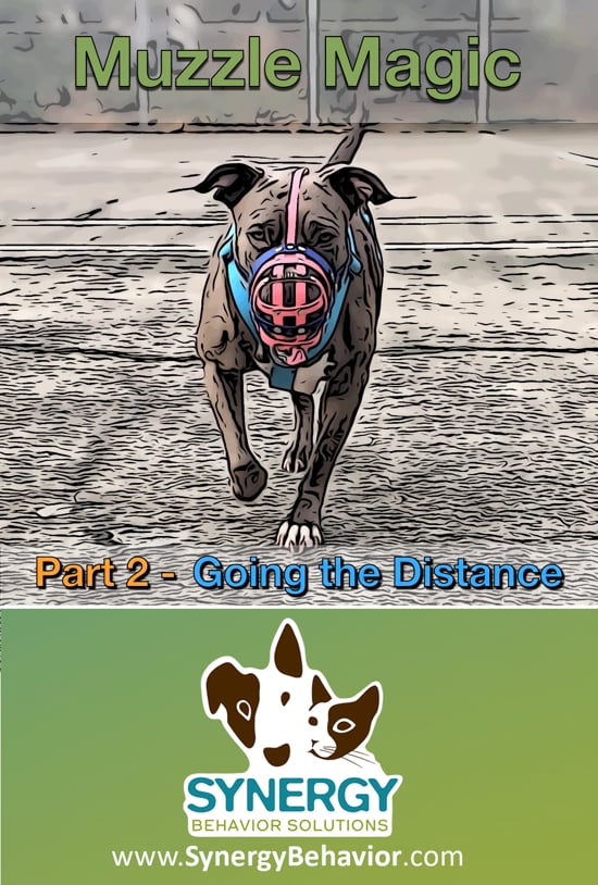 Muzzle Magic 2: Going the Distance